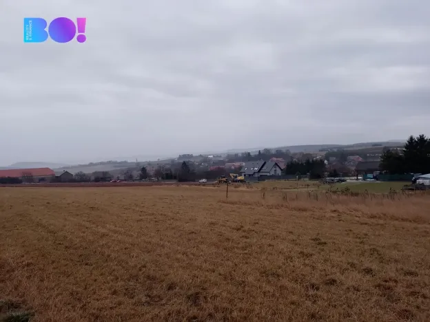 Prodej louky, Málkov, 20000 m2