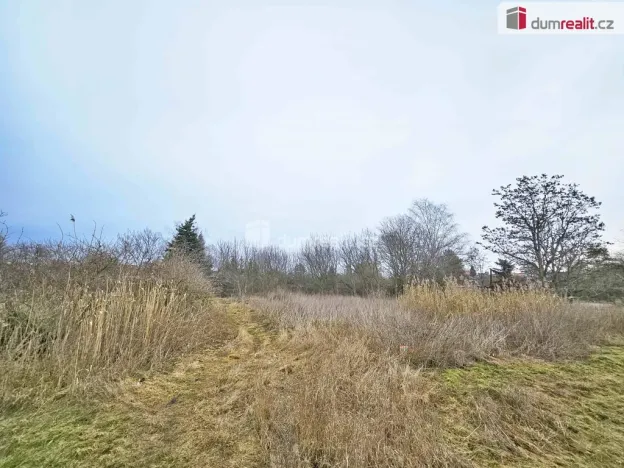 Prodej pole, Sulejovice, 1549 m2