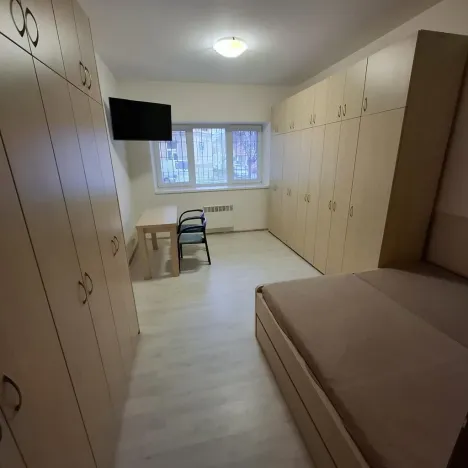 Pronájem bytu 1+1, Brno - Husovice, Svitavská, 31 m2