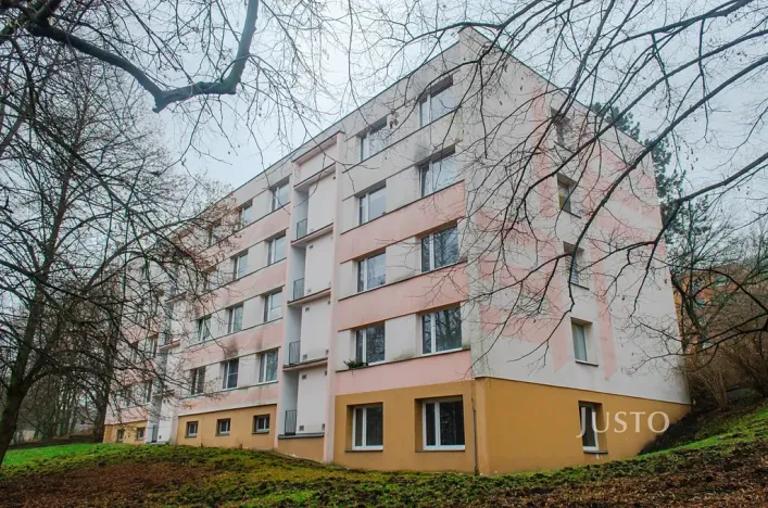 Pronájem bytu 1+1, Ústí nad Labem, Tolstého, 44 m2