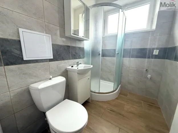 Pronájem bytu 1+kk, Most, Josefa Skupy, 20 m2