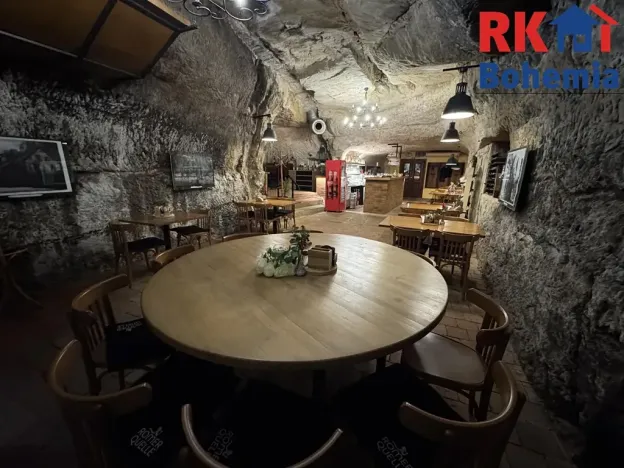 Pronájem restaurace, Mladá Boleslav, Ptácká, 410 m2