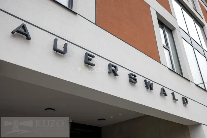 Pronájem bytu 2+kk, Brno, Auerswaldova, 47 m2