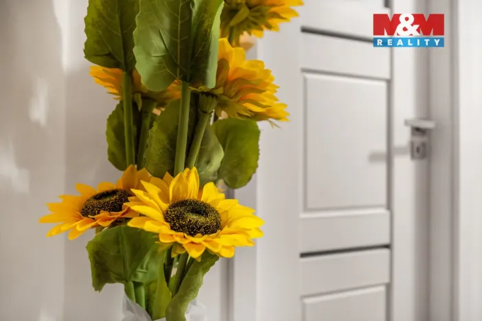 Prodej bytu 3+1, Nový Bor, Palackého, 75 m2