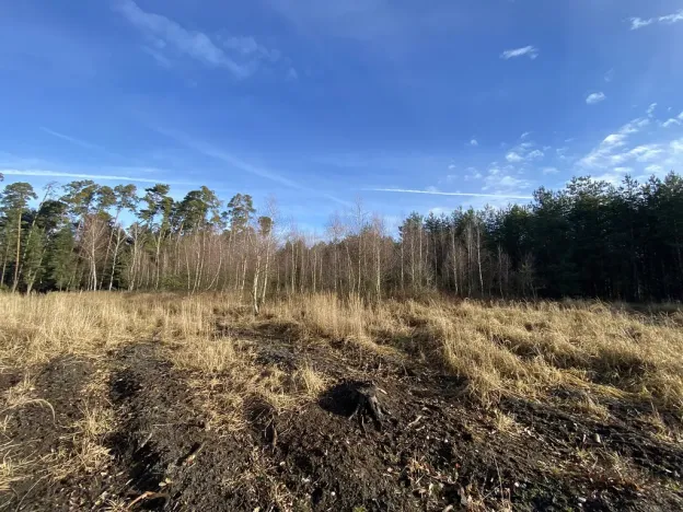 Prodej lesa, Veliny, 4968 m2