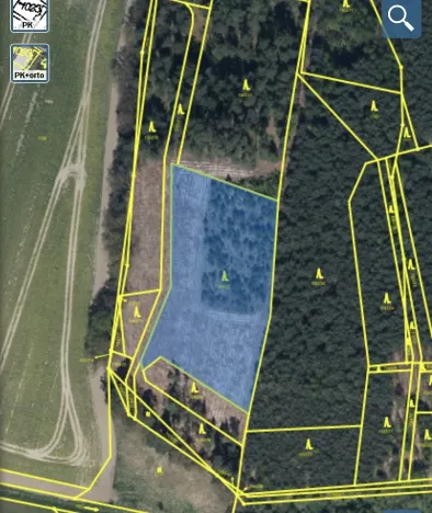 Prodej lesa, Veliny, 4968 m2