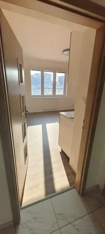 Pronájem bytu 2+kk, Praha - Žižkov, Basilejské náměstí, 48 m2