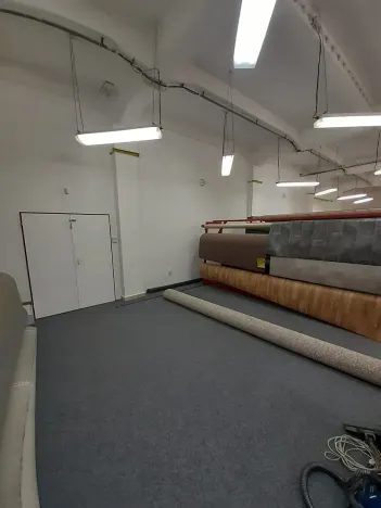 Pronájem obchodního prostoru, Kutná Hora, Vocelova, 270 m2