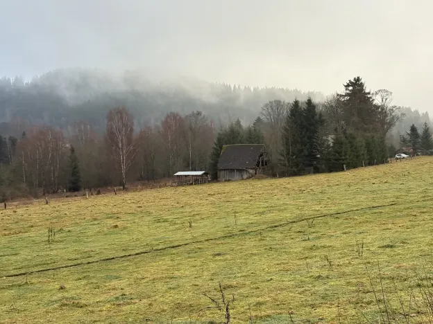 Prodej pozemku, Bublava, 954 m2