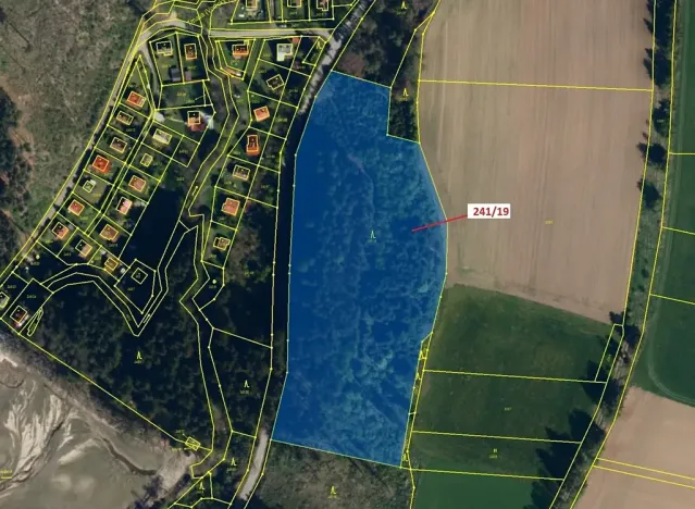 Dražba lesa, Cetoraz, 17171 m2