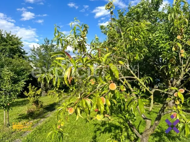 Prodej zahrady, Zlín - Malenovice, 581 m2