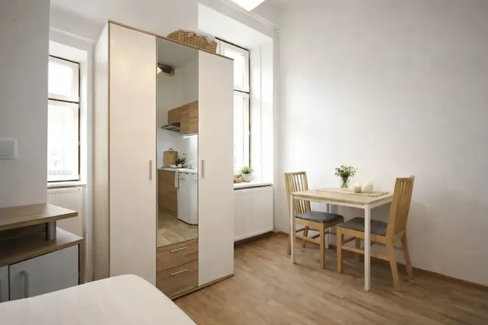 Pronájem bytu 1+kk, Brno, Koliště, 20 m2