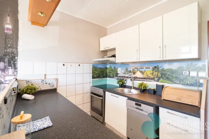 Prodej bytu 1+1, Mladošovice, 40 m2