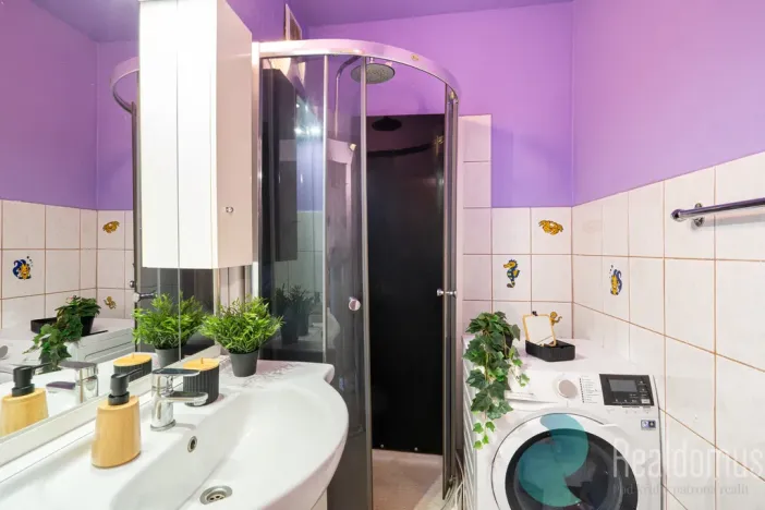 Prodej bytu 1+1, Mladošovice, 40 m2