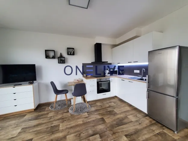 Pronájem bytu 1+kk, Plzeň, Na Chmelnicích, 35 m2