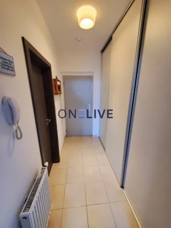 Pronájem bytu 1+kk, Plzeň, Na Chmelnicích, 35 m2