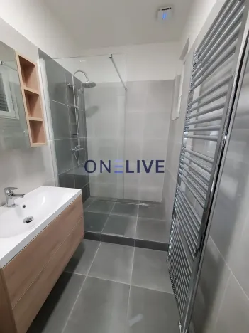 Pronájem bytu 2+1, Plzeň, Vrchlického, 71 m2