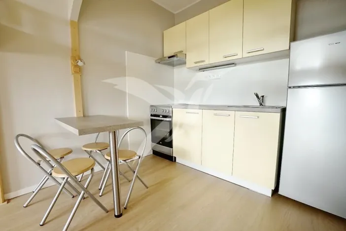 Pronájem bytu 1+kk, Plzeň, Hodonínská, 31 m2