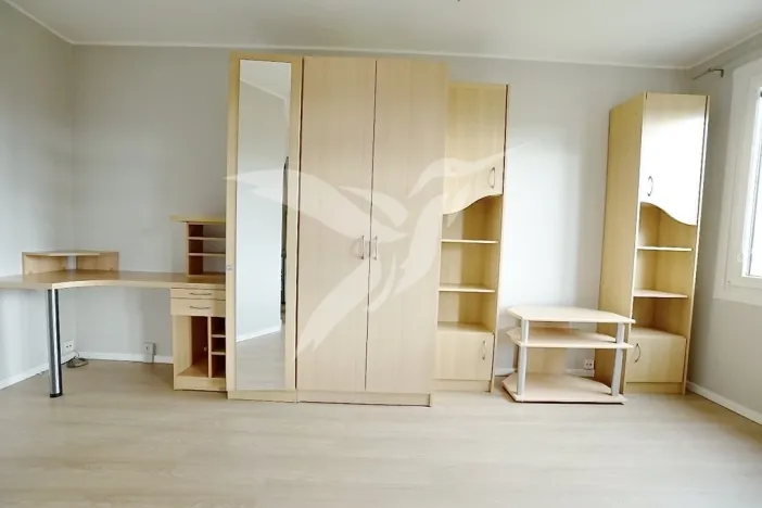 Pronájem bytu 1+kk, Plzeň, Hodonínská, 31 m2