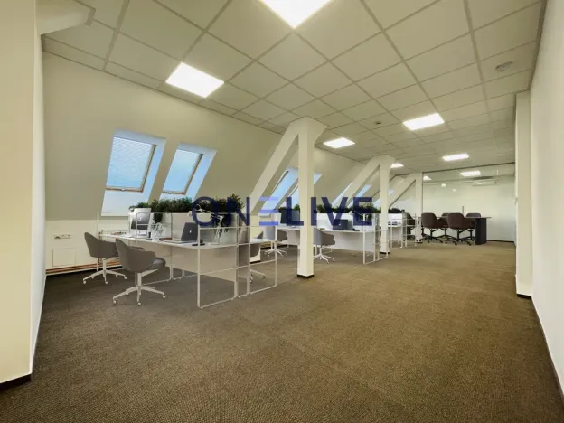 Pronájem kanceláře, Plzeň, náměstí T. G. Masaryka, 365 m2