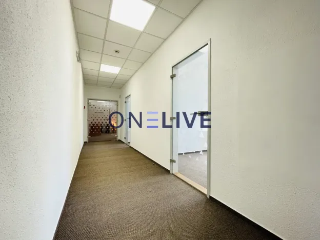 Pronájem kanceláře, Plzeň, náměstí T. G. Masaryka, 365 m2