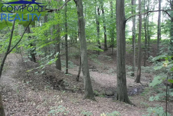 Prodej lesa, Havířov - Životice, Olšová, 5996 m2