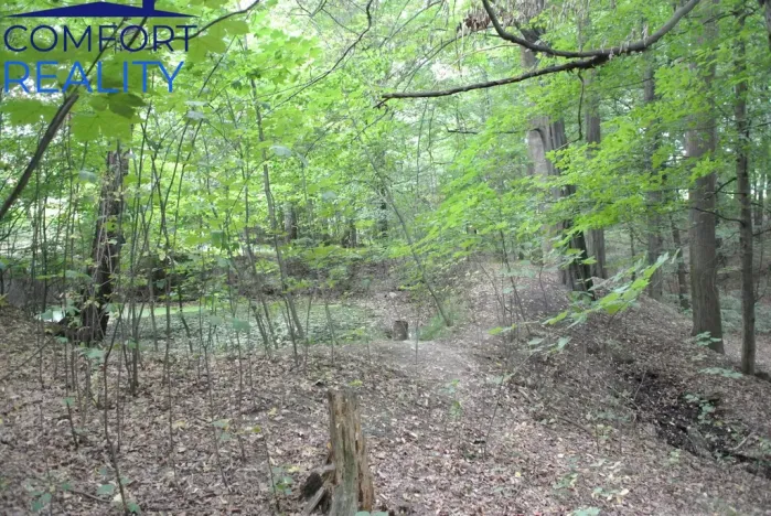 Prodej lesa, Havířov - Životice, Olšová, 5996 m2