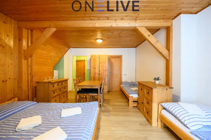 Prodej apartmánu, Železná Ruda - Hojsova Stráž, 500 m2