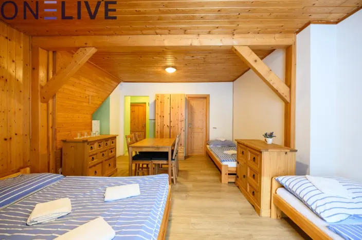 Prodej apartmánu, Železná Ruda - Hojsova Stráž, 500 m2