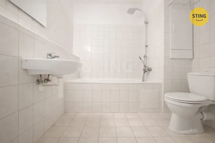 Pronájem bytu 1+kk, Ostrava - Bělský Les, 38 m2