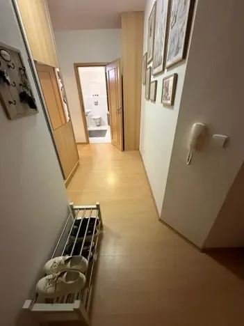 Pronájem bytu 3+kk, České Budějovice - České Budějovice 2, U Lučního jezu, 75 m2