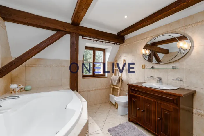 Prodej atypického bytu, Rozvadov - Svatá Kateřina, 650 m2