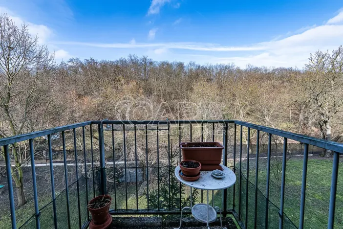 Prodej bytu 1+kk, Praha, U Smetanky, 39 m2