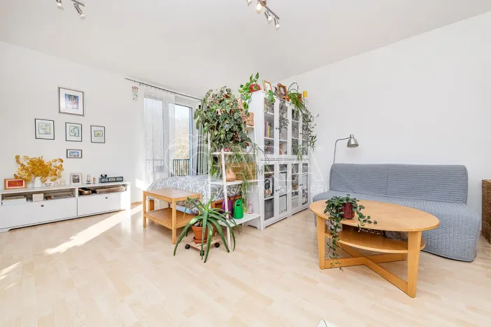 Prodej bytu 1+kk, Praha, U Smetanky, 39 m2