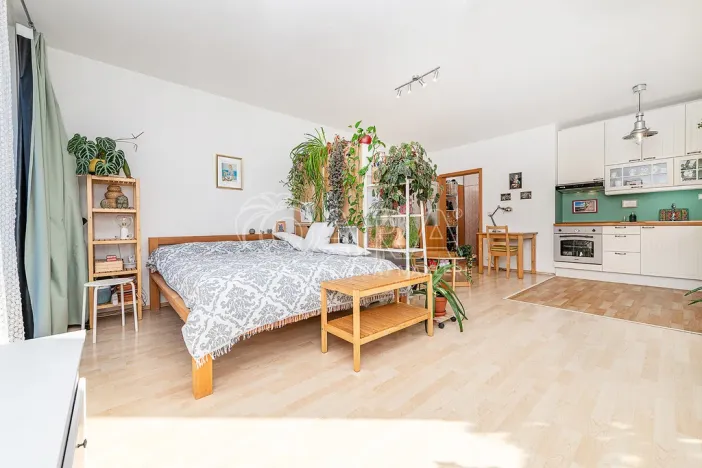 Prodej bytu 1+kk, Praha, U Smetanky, 39 m2