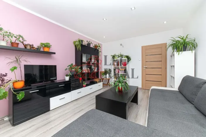 Pronájem bytu 2+1, Český Těšín, Úvoz, 60 m2