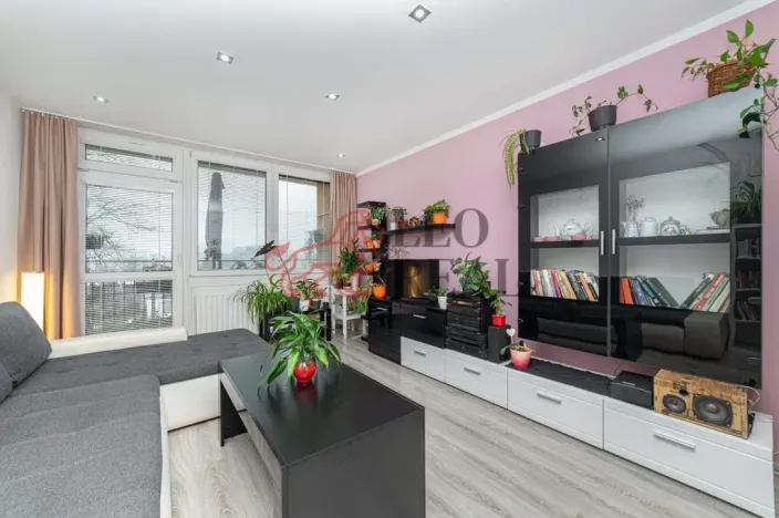 Pronájem bytu 2+1, Český Těšín, Úvoz, 60 m2