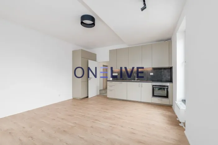 Pronájem bytu 3+kk, Plzeň, Železná, 59 m2