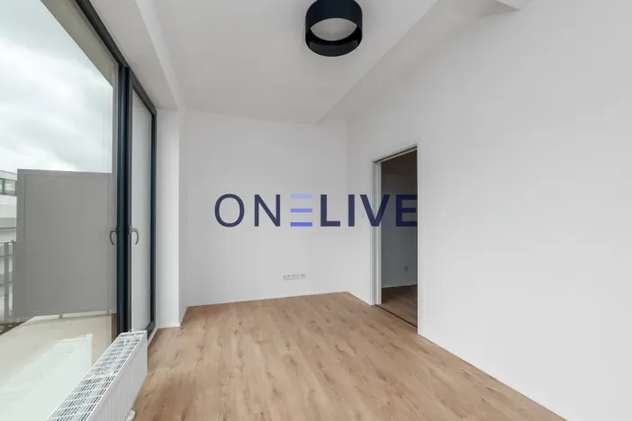 Pronájem bytu 3+kk, Plzeň, Železná, 59 m2