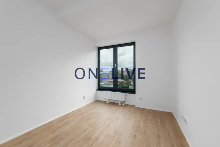 Pronájem bytu 3+kk, Plzeň, Železná, 59 m2