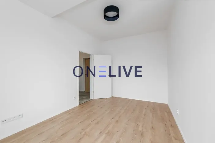 Pronájem bytu 3+kk, Plzeň, Železná, 59 m2