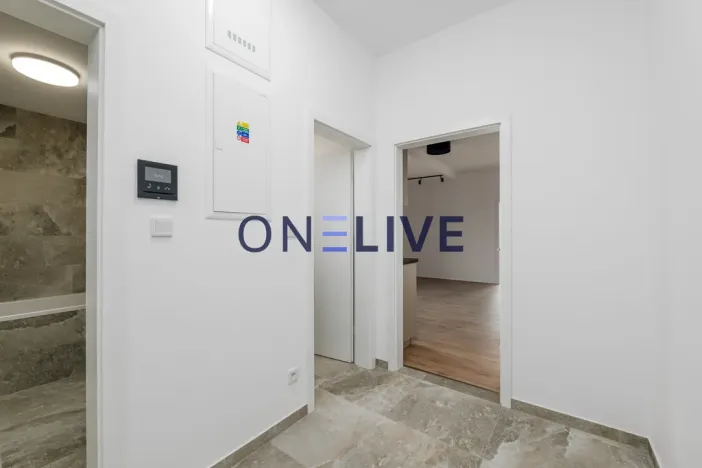 Pronájem bytu 3+kk, Plzeň, Železná, 59 m2