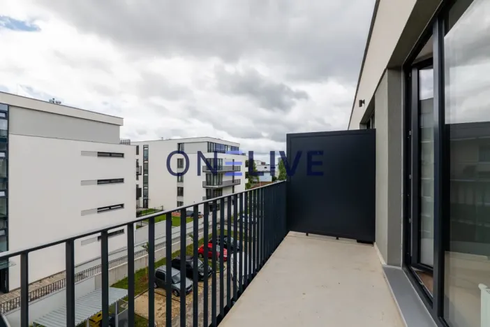 Pronájem bytu 3+kk, Plzeň, Železná, 59 m2