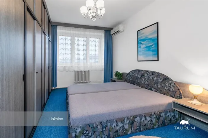 Prodej bytu 3+1, Plzeň - Východní Předměstí, U Prazdroje, 68 m2