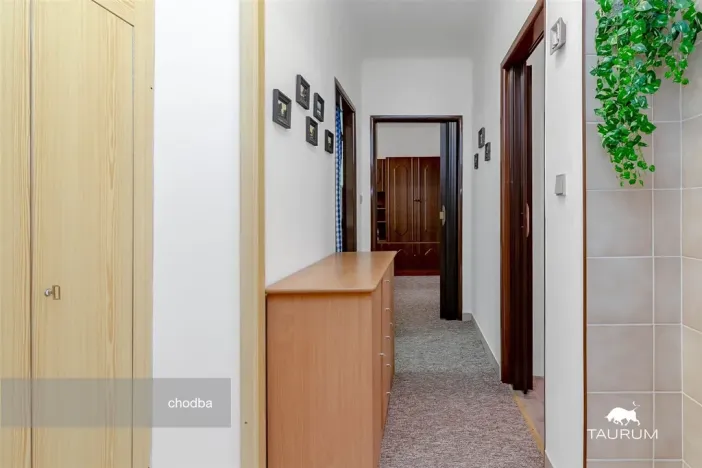 Prodej bytu 3+1, Plzeň - Východní Předměstí, U Prazdroje, 68 m2