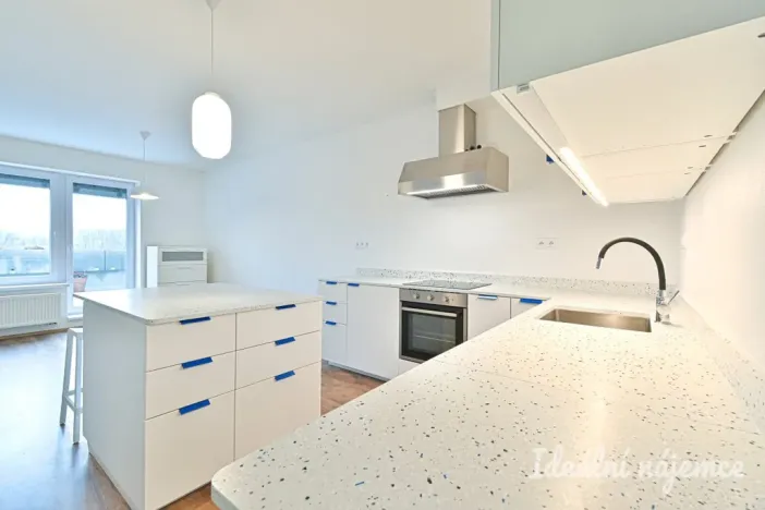 Pronájem bytu 3+kk, Brno, Křepelčí, 86 m2