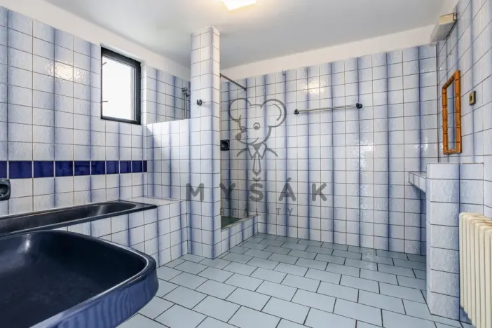 Prodej rodinného domu, Nová Ves, 300 m2