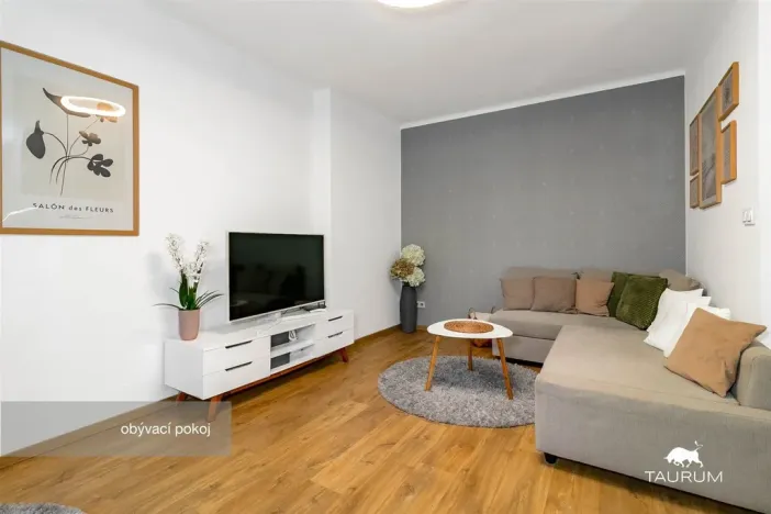 Prodej bytu 2+1, Plzeň - Východní Předměstí, Strnadova, 54 m2