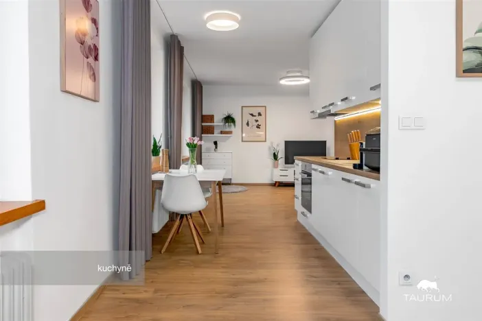 Prodej bytu 2+1, Plzeň - Východní Předměstí, Strnadova, 54 m2