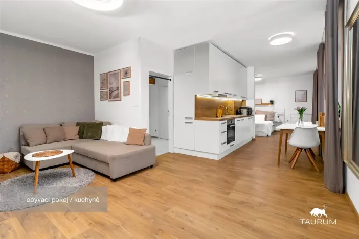 Prodej bytu 2+1, Plzeň - Východní Předměstí, Strnadova, 54 m2